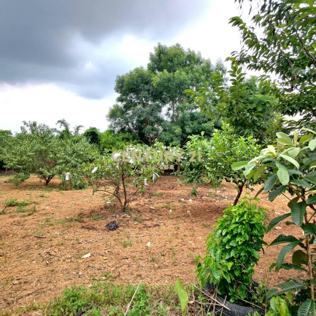 八德區埤塘休閒農地