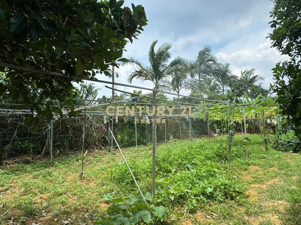 八德區埤塘休閒農地