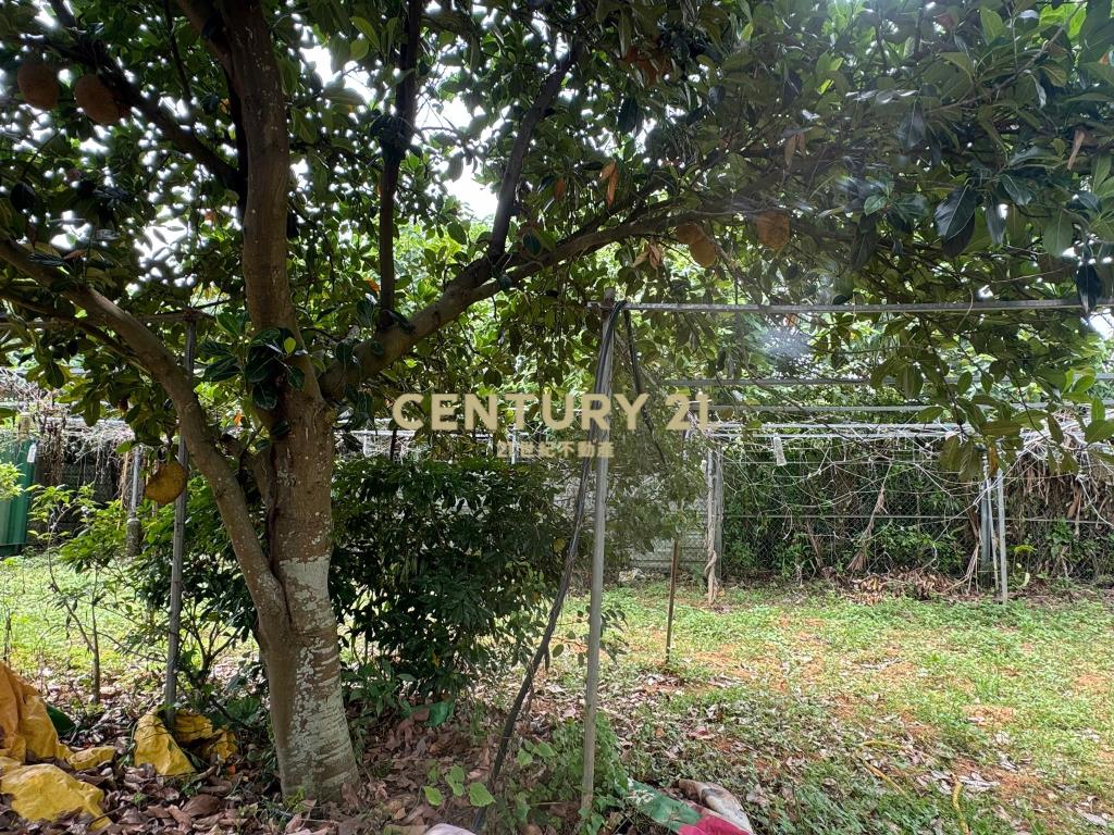 八德區埤塘休閒農地