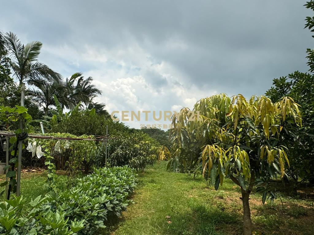 八德區埤塘休閒農地