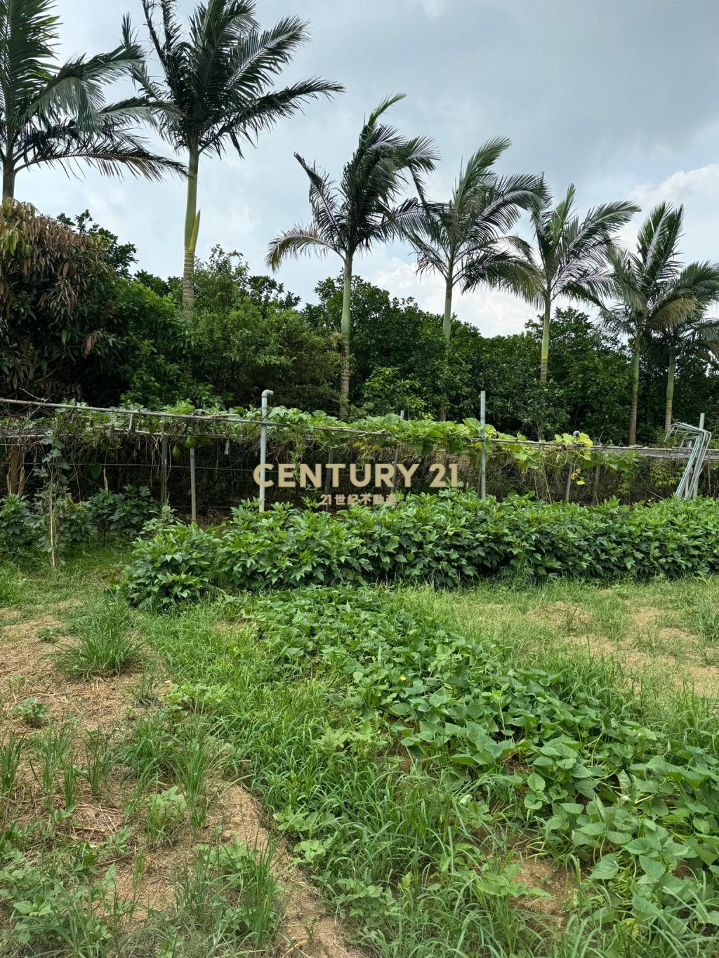 八德區埤塘休閒農地