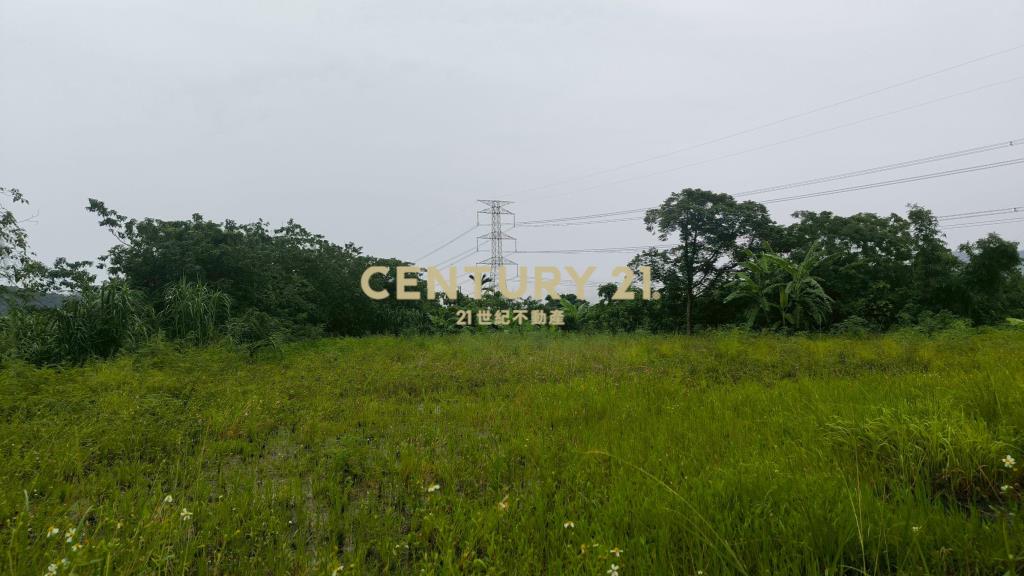 康郡丁工稀有釋出我最超值