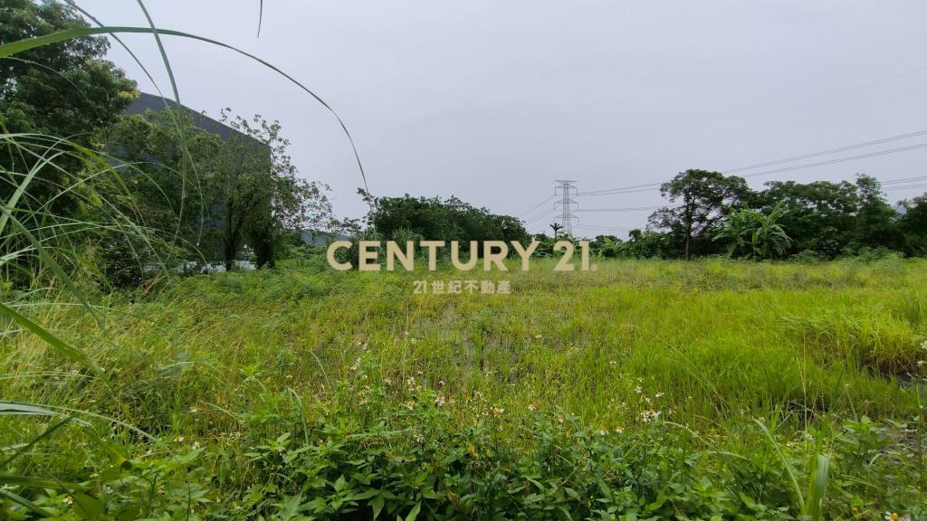 康郡丁工稀有釋出我最超值