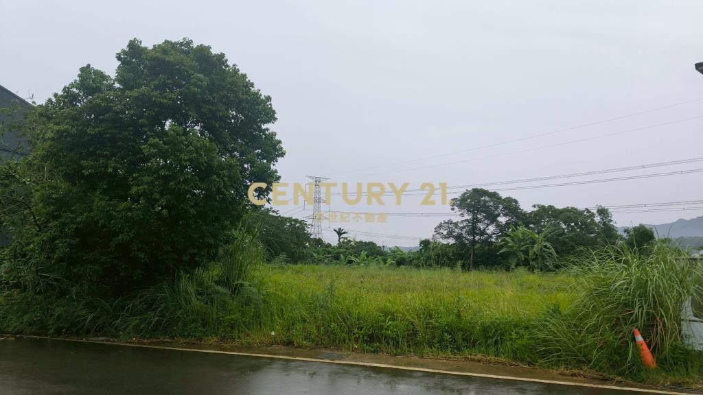 康郡丁工稀有釋出我最超值