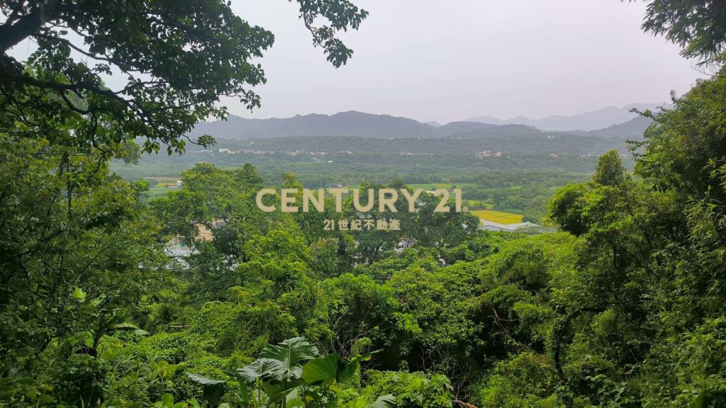 康郡丁工稀有釋出我最超值