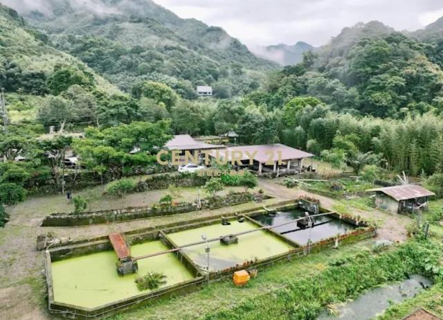 桃園復興霞雲建+農