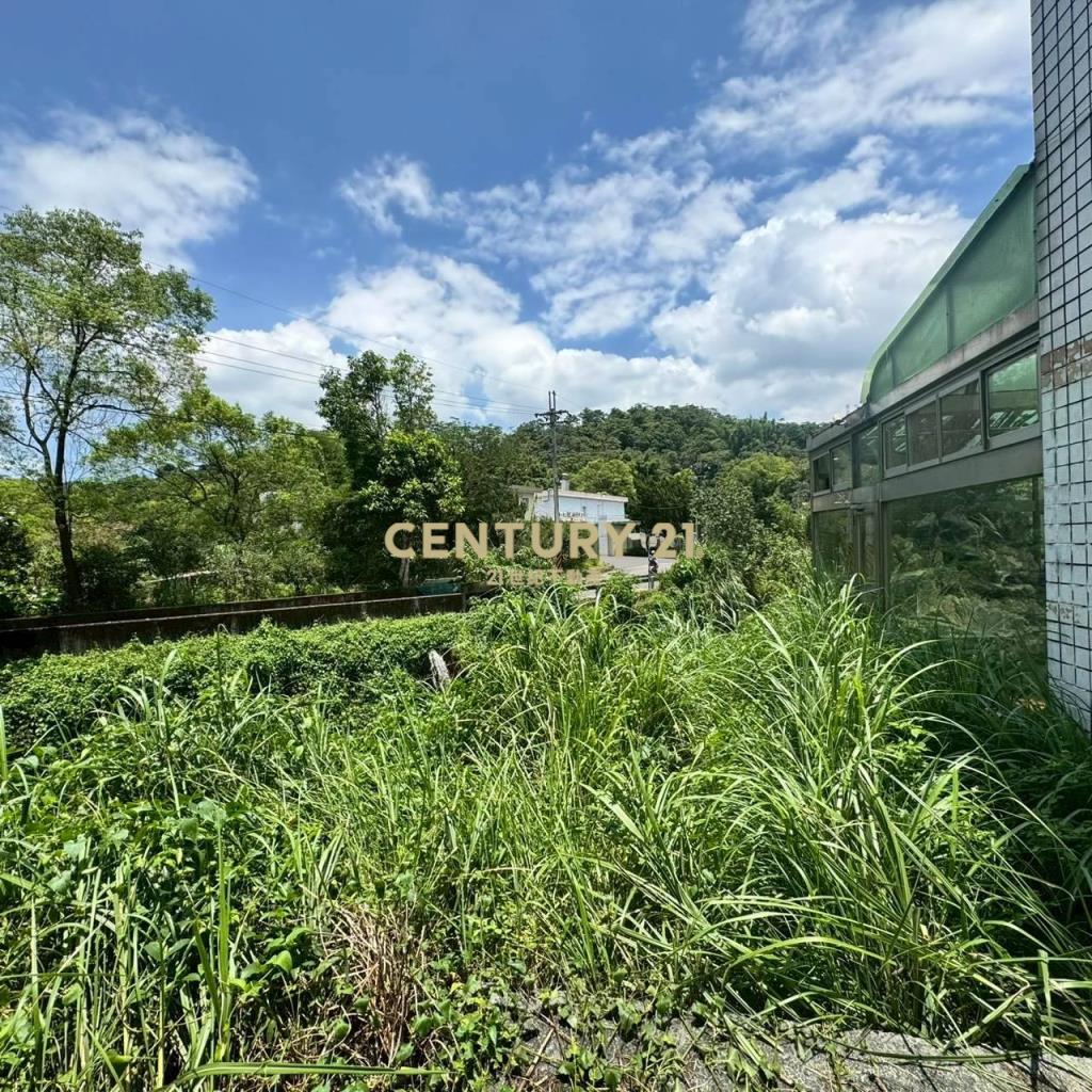 三峽加州陽光百坪透天