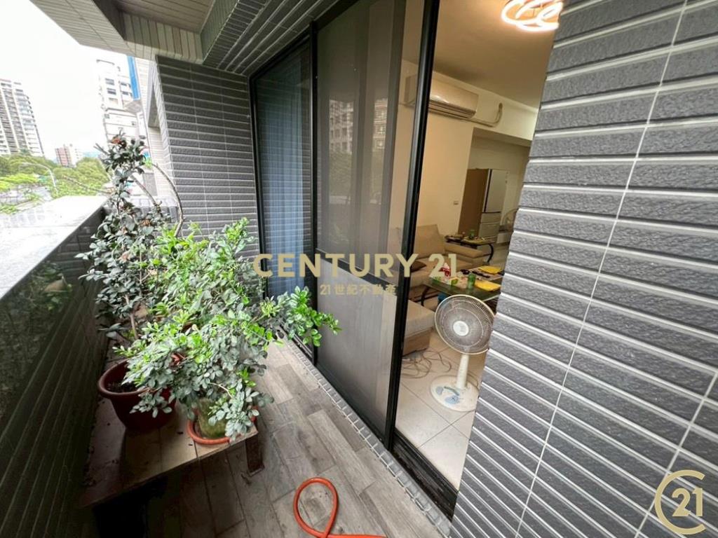 春木日曜超大露台戶