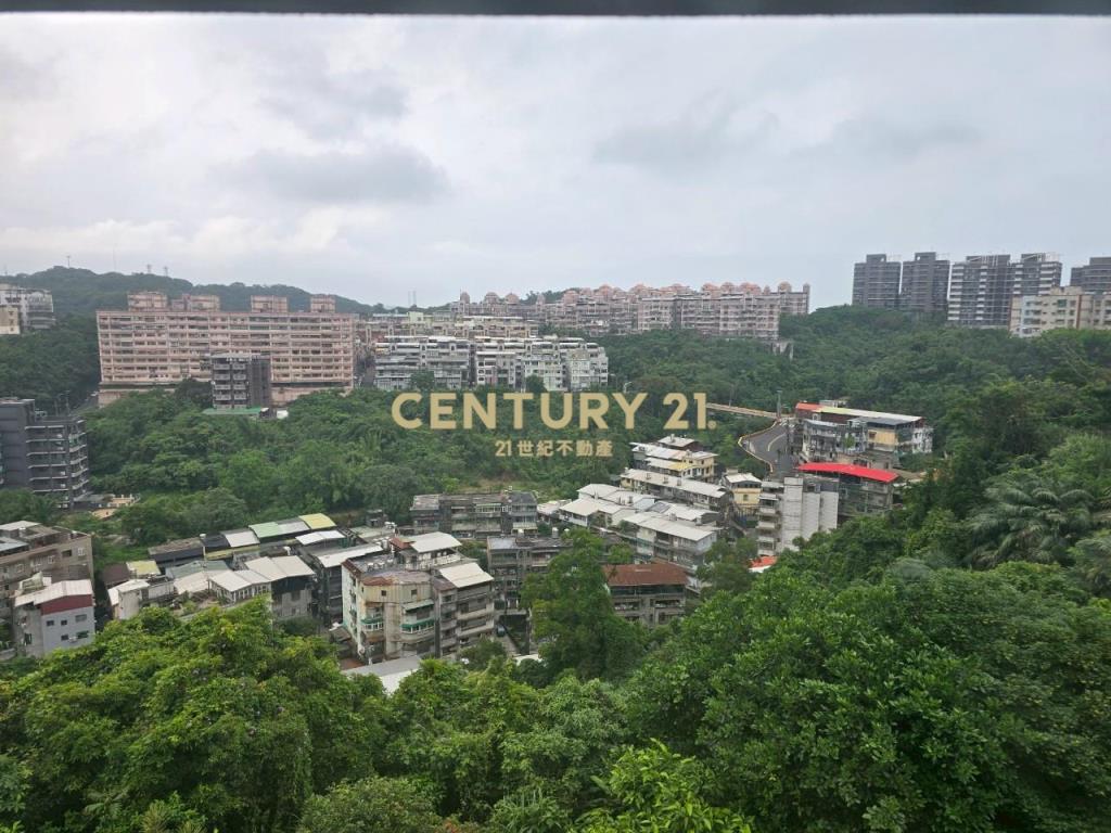 信義大街景觀屋