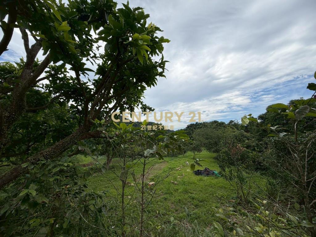 七堵瑪陵坑農地