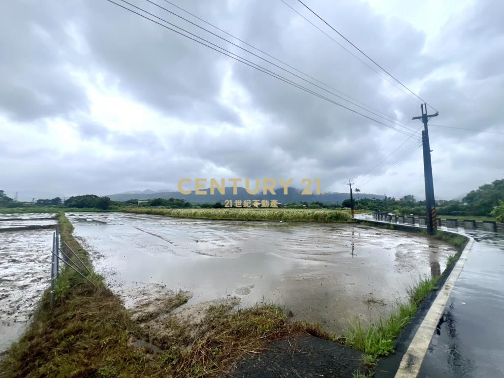 金山美農地