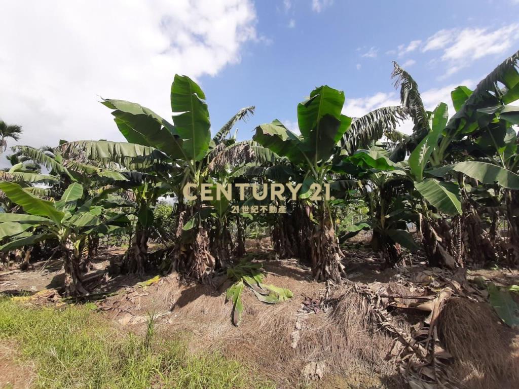 GE041員山雷公埤大地坪農舍