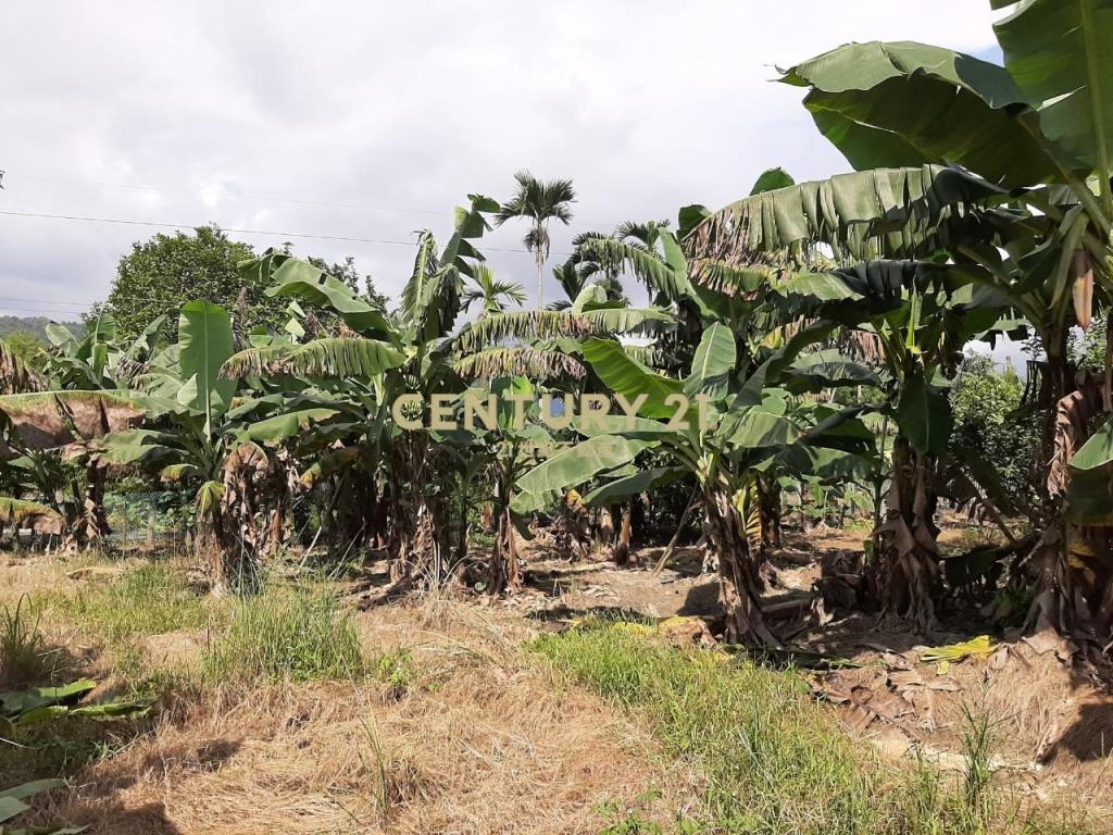 GE041員山雷公埤大地坪農舍