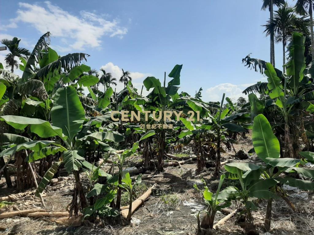 GE041員山雷公埤大地坪農舍