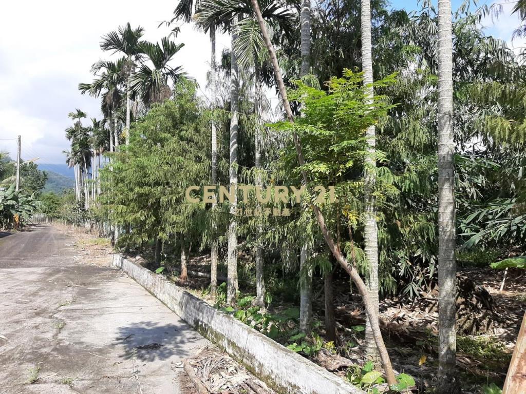 GE041員山雷公埤大地坪農舍