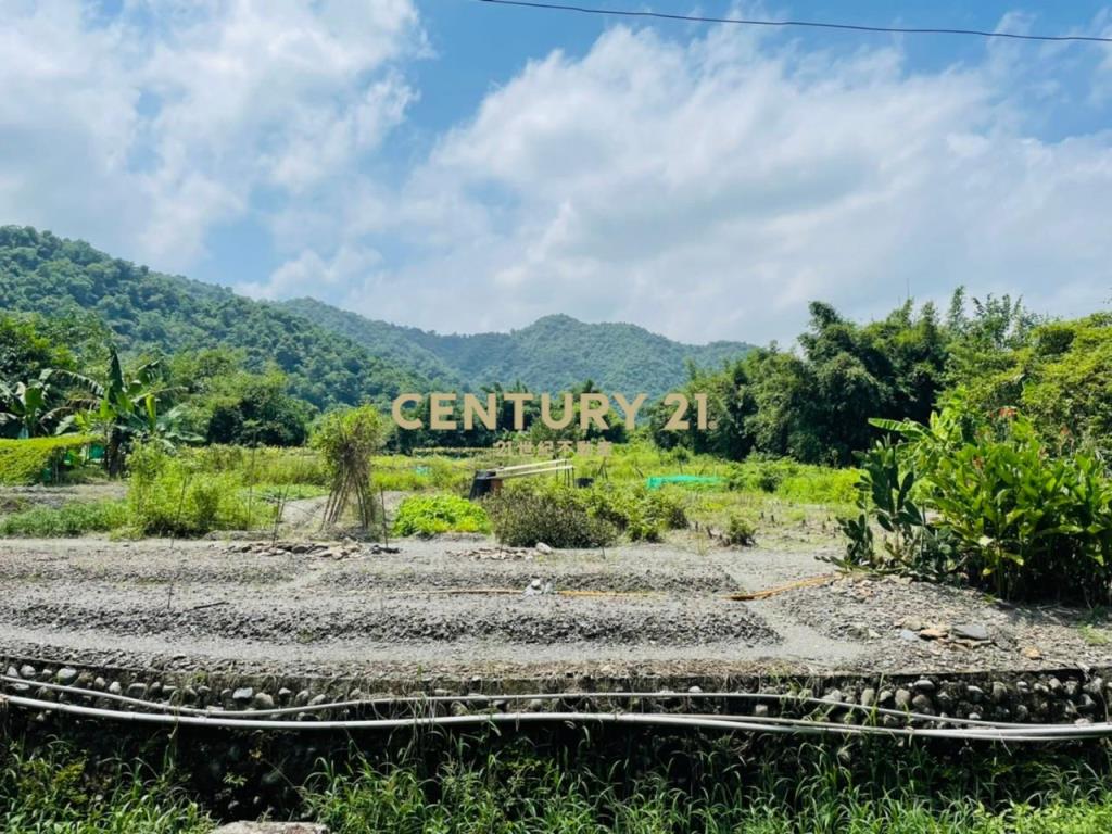 CC265大進休閒農業區農地(二)