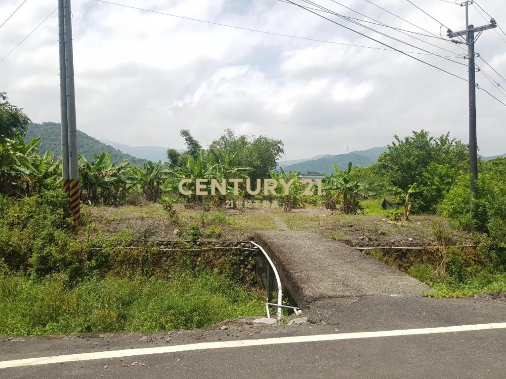 CC265大進休閒農業區農地(二)