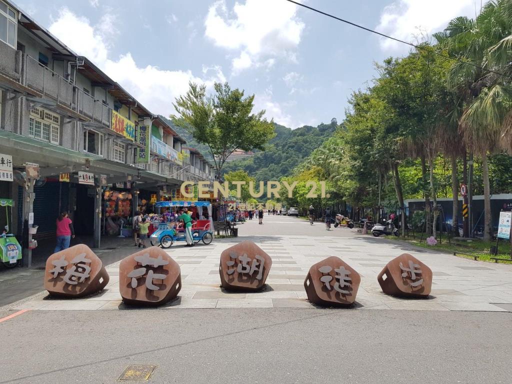 CC265大進休閒農業區農地(二)