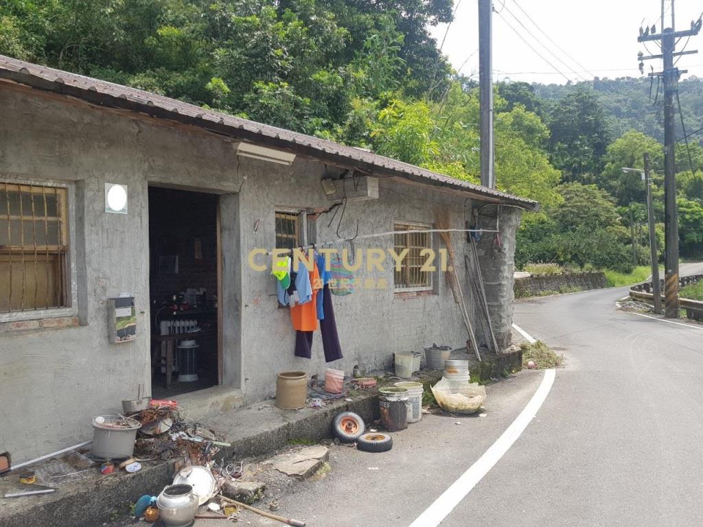 CC265大進休閒農業區農地(二)