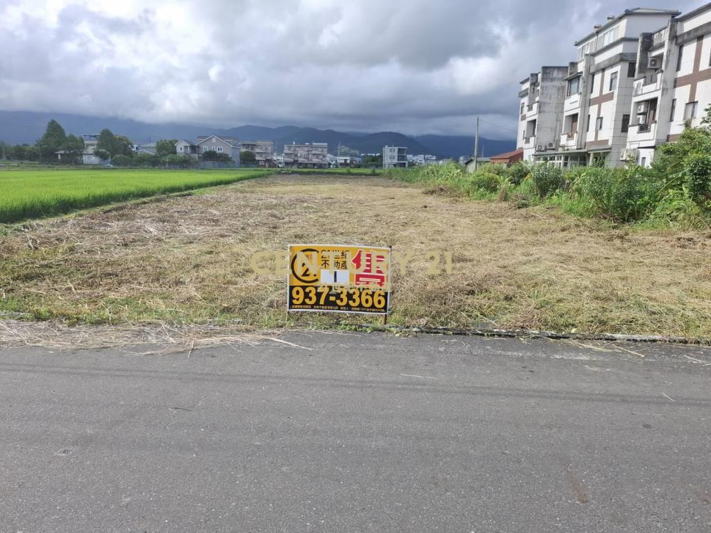 AC866員山尚好段漂亮農地