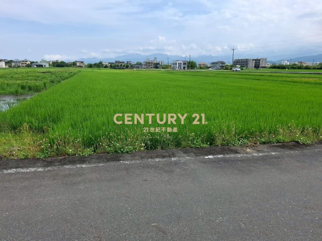 AC866員山尚好段漂亮農地