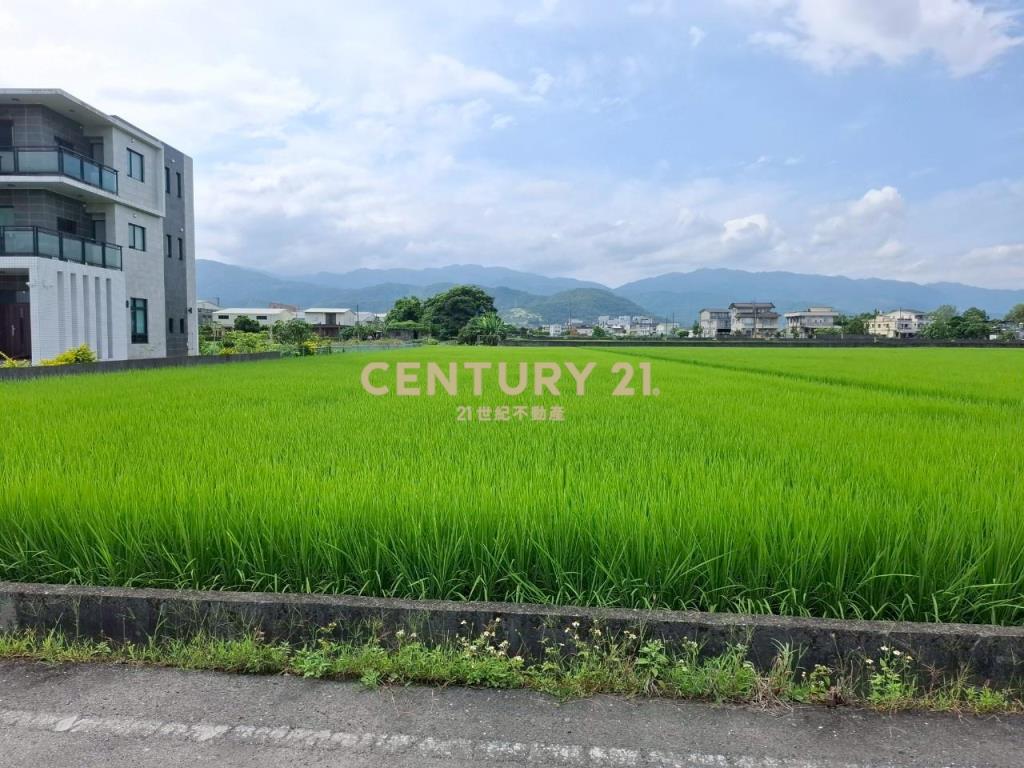 AC866員山尚好段漂亮農地