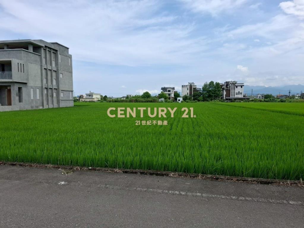 AC866員山尚好段漂亮農地