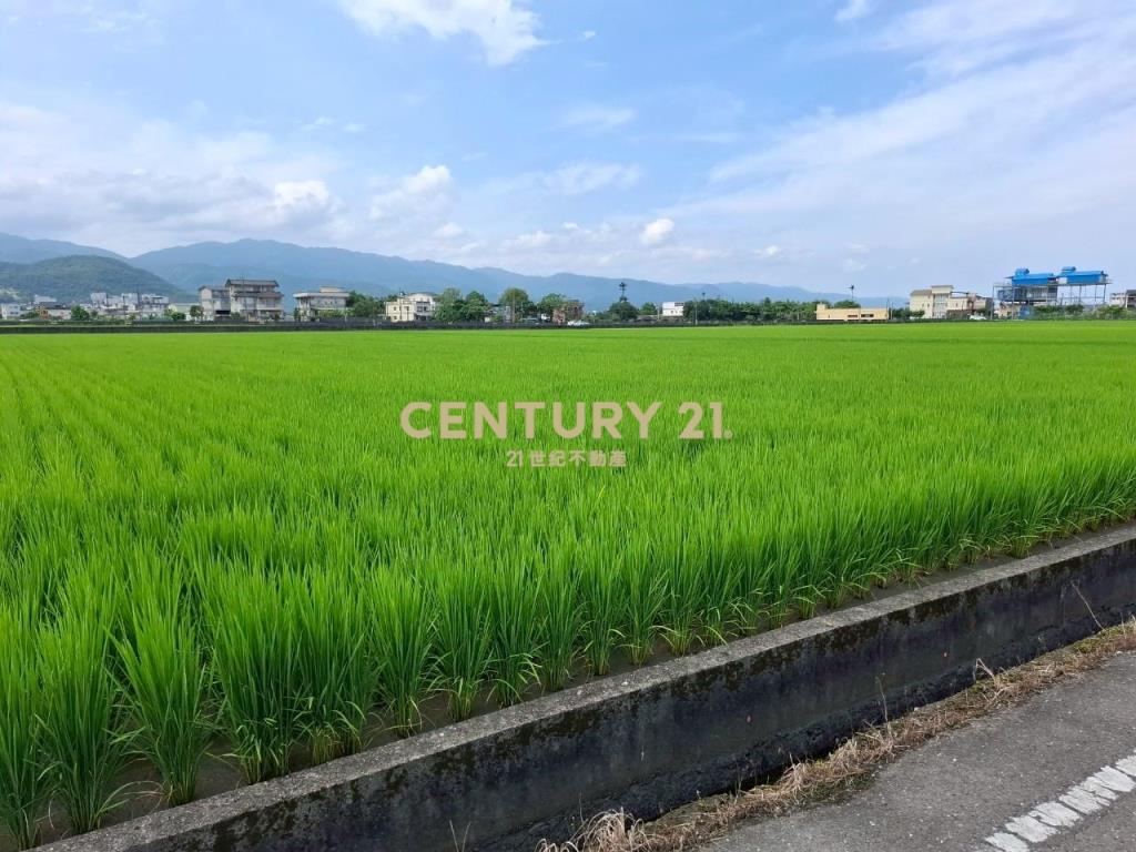 AC866員山尚好段漂亮農地