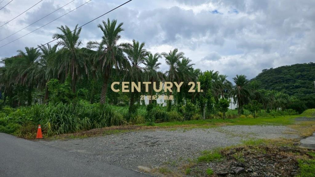 AD865蘇澳國5不淹水甲種工業建地