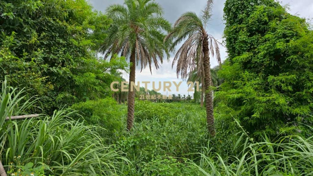 AD865蘇澳國5不淹水甲種工業建地