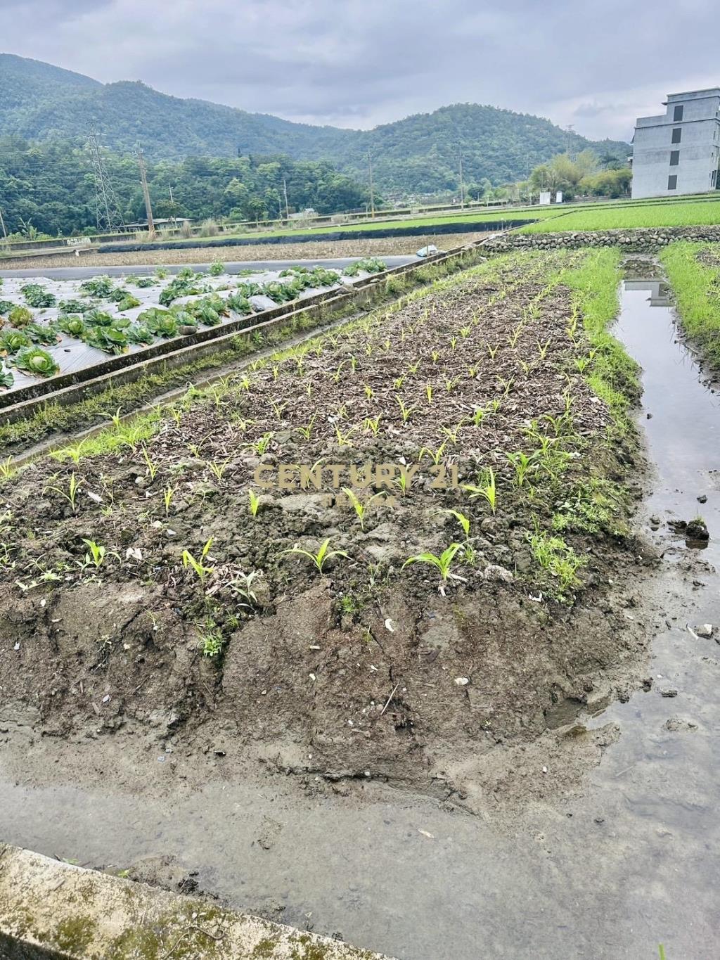 AC880近安農溪大面寬農地