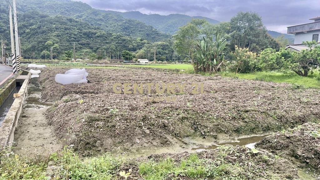 AC880近安農溪大面寬農地