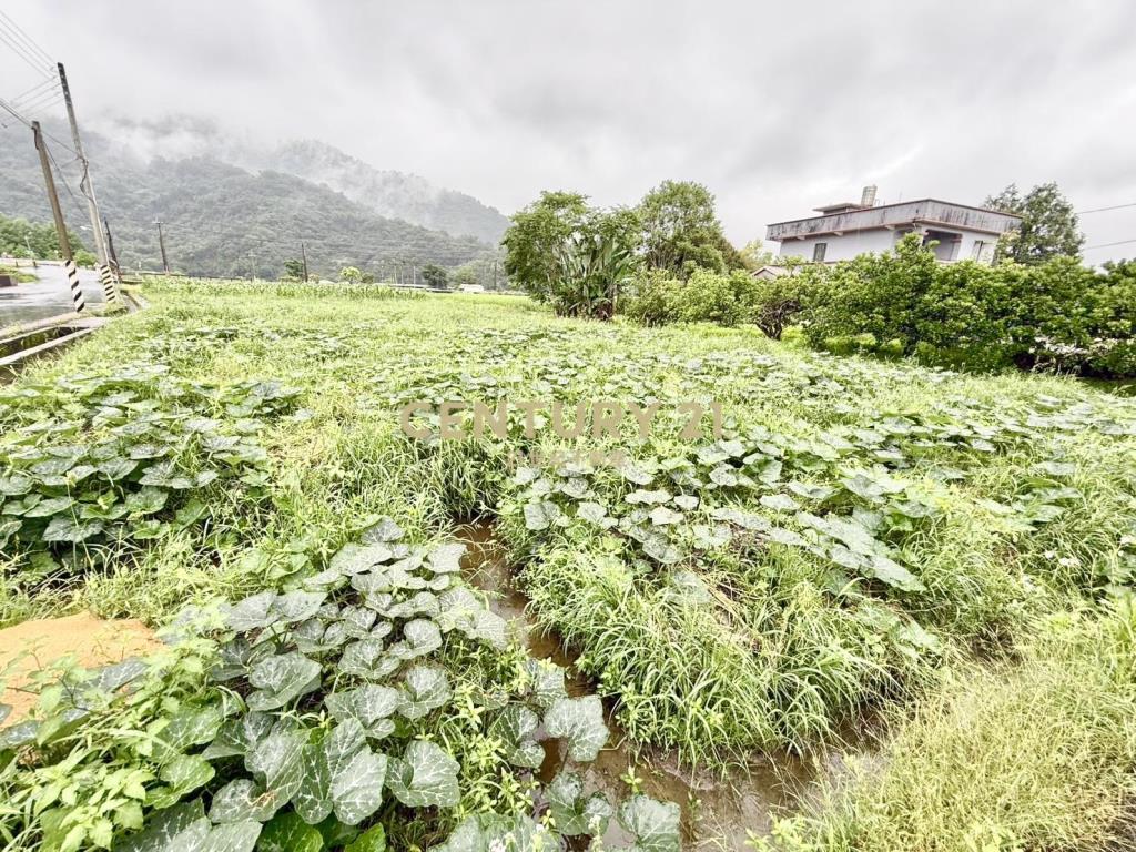 AC880近安農溪大面寬農地
