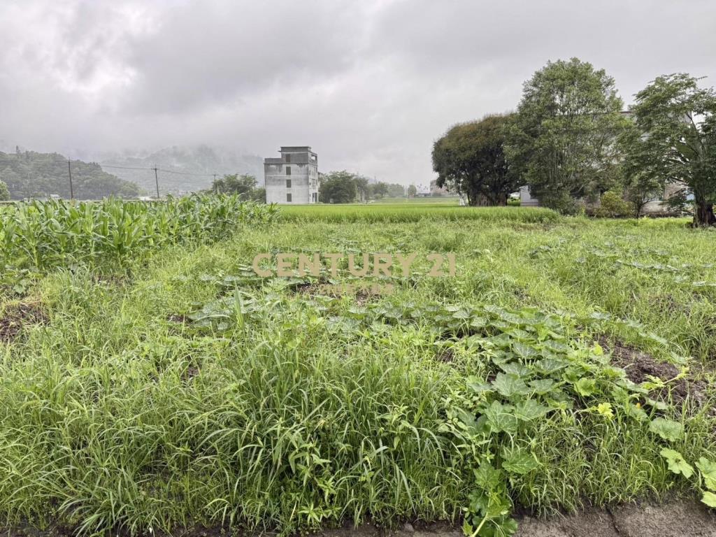 AC880近安農溪大面寬農地