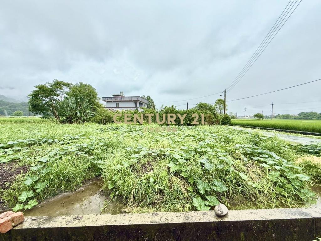 AC880近安農溪大面寬農地