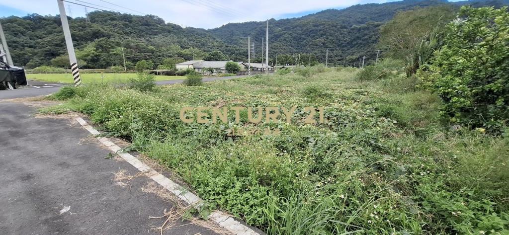 AC880近安農溪大面寬農地