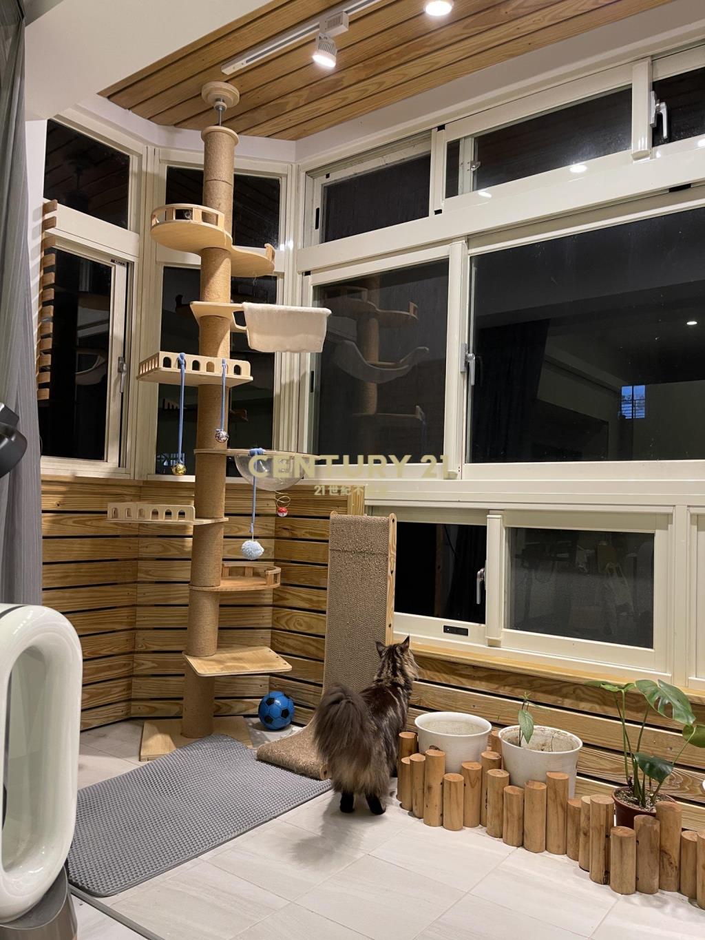 AA559羅東後站麥當勞漂亮華廈