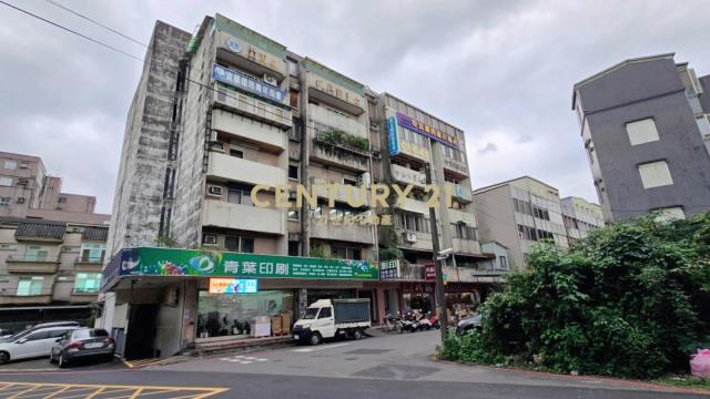 AA561陽大超值貴族電梯華廈