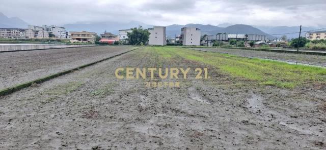 AC882員山大面寬足坪農地