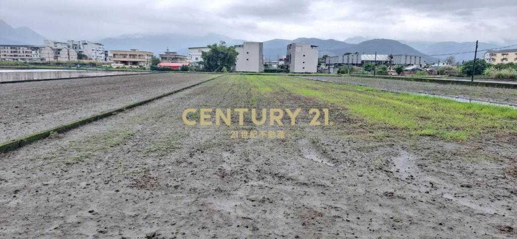 AC882員山大面寬足坪農地