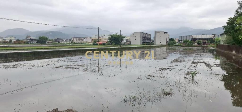 AC882員山大面寬足坪農地