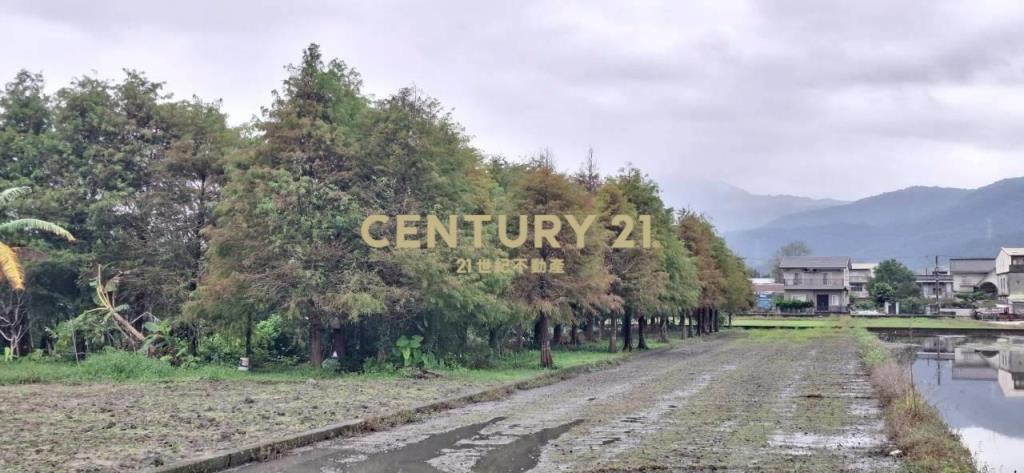 AC882員山大面寬足坪農地