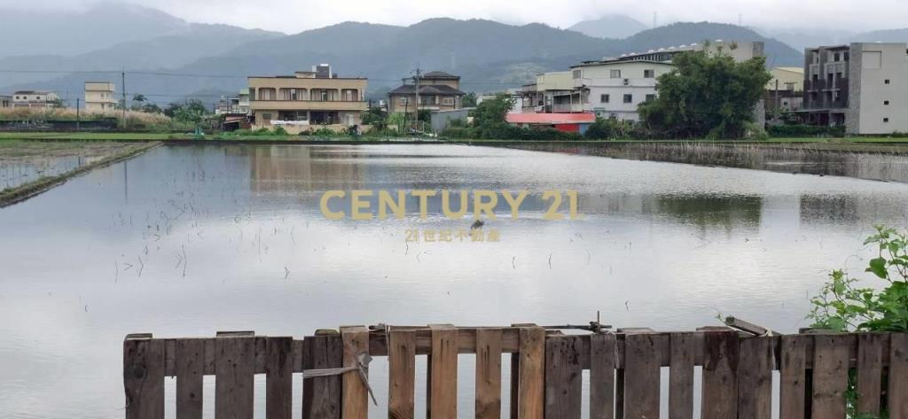 AC882員山大面寬足坪農地