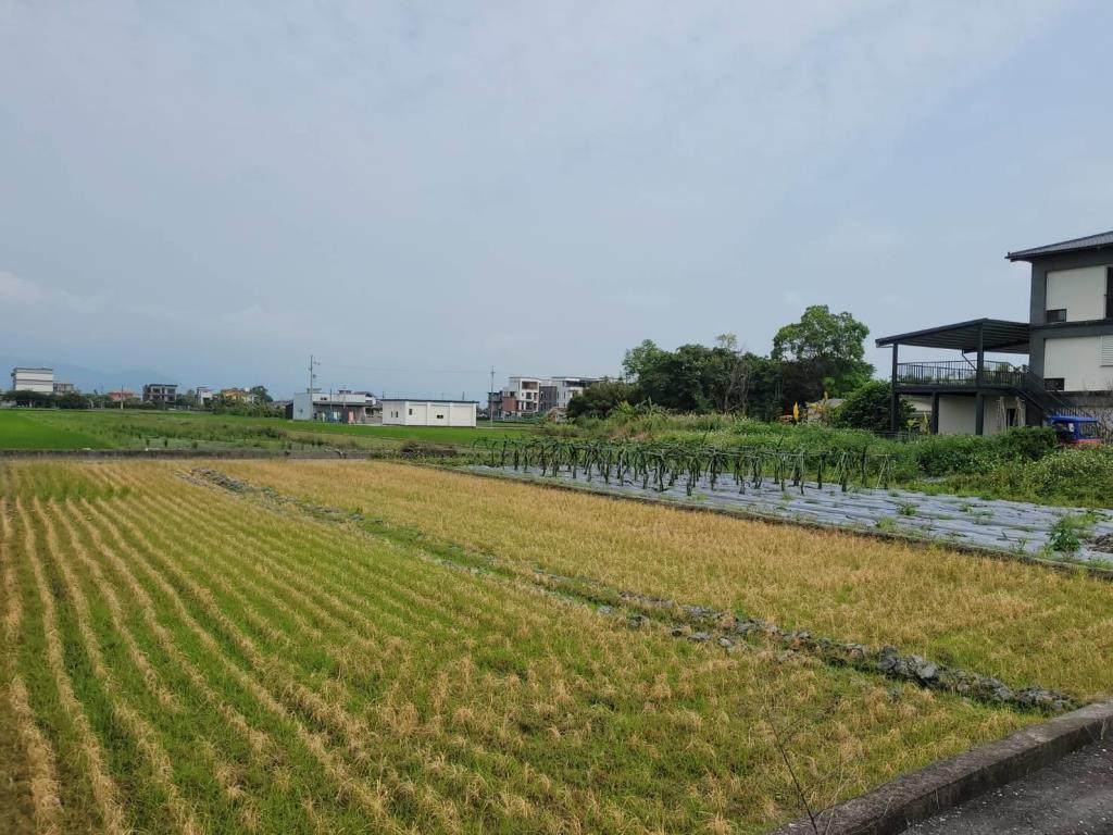 AC885大洲國小美農地(含加工室建照)