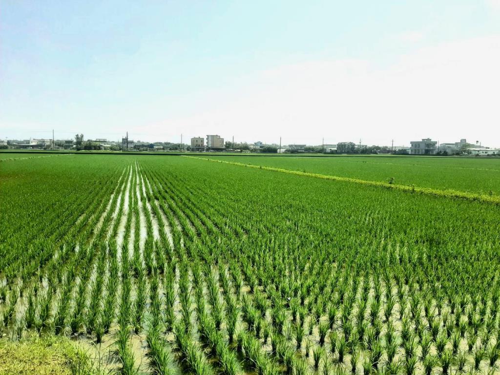 AC886壯圍小農地含加室建照