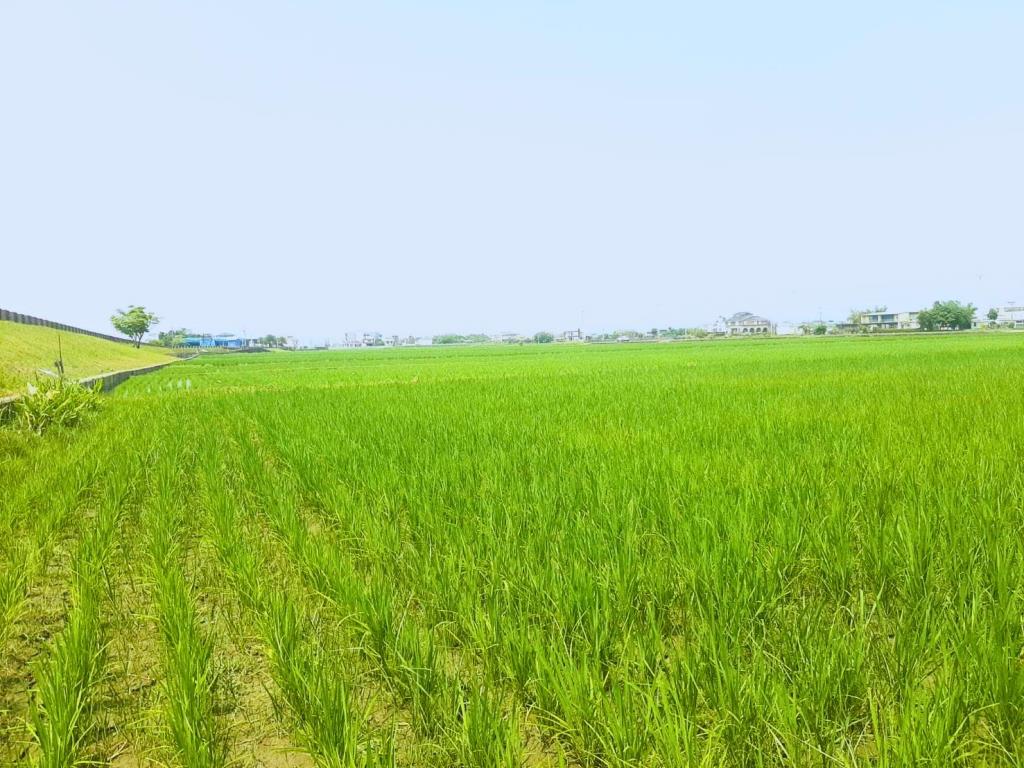 AC887五結高速旁便宜農地