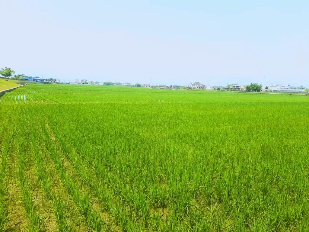 AC887五結高速旁便宜農地