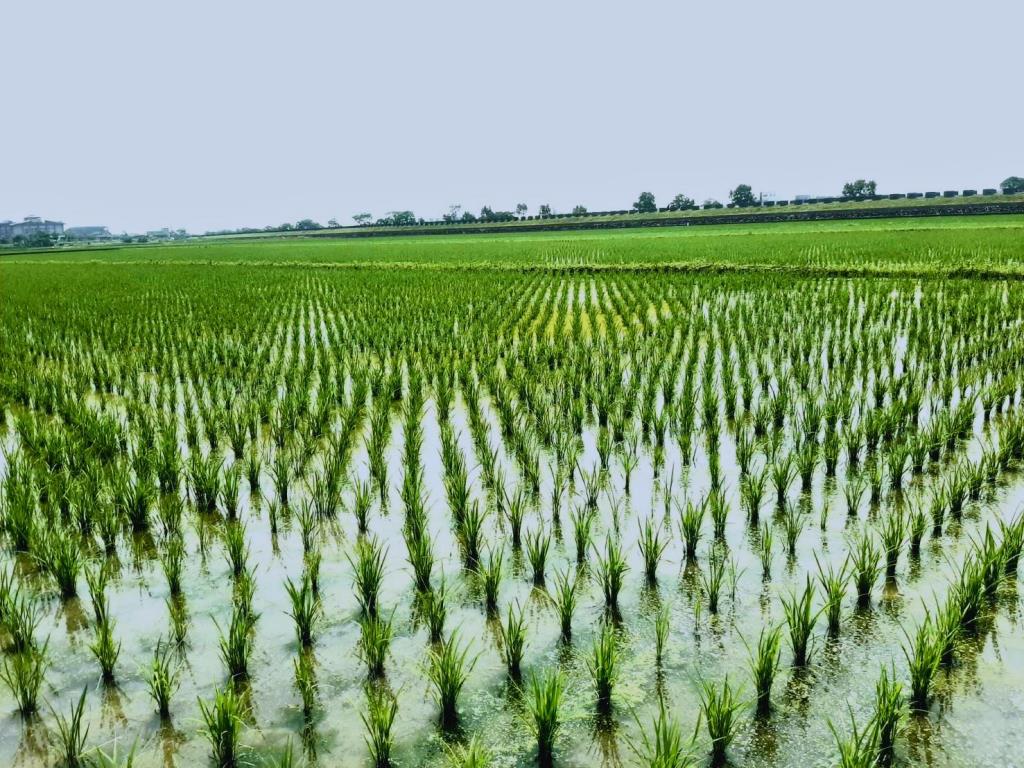 AC887五結高速旁便宜農地