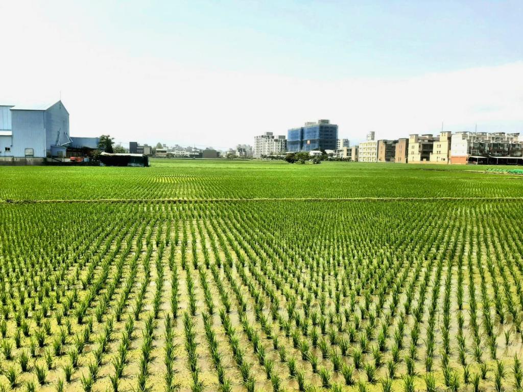 AB823宜蘭東區透天厝