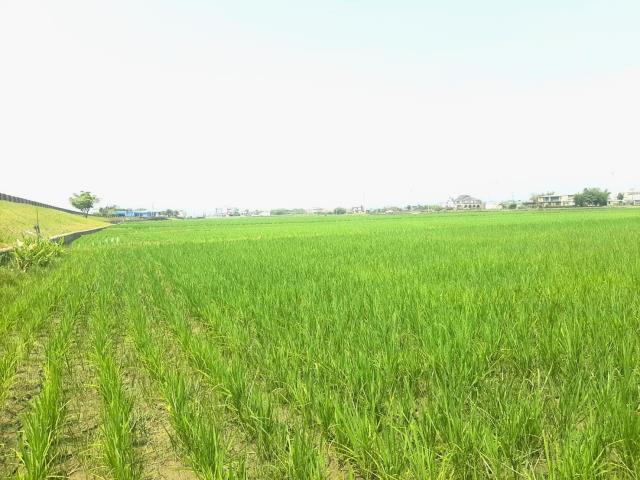 AC888壯圍便宜農地